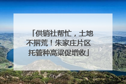 供销社帮忙，土地不撂荒！朱家庄片区托管种高粱促增收
