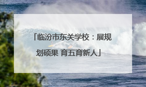 临汾市东关学校：展规划硕果 育五育新人