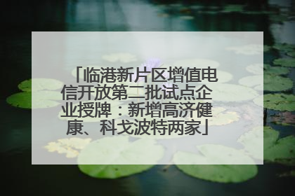 临港新片区增值电信开放第二批试点企业授牌：新增高济健康、科戈波特两家