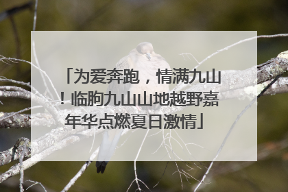 为爱奔跑，情满九山！临朐九山山地越野嘉年华点燃夏日激情
