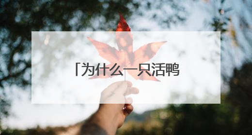 为什么一只活鸭上百元，一只烤鸭只要25元？