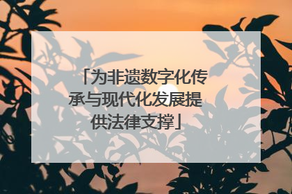 为非遗数字化传承与现代化发展提供法律支撑