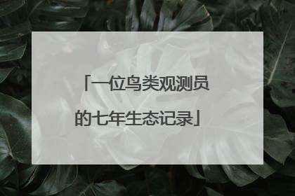 一位鸟类观测员的七年生态记录