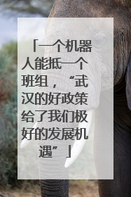 一个机器人能抵一个班组，“武汉的好政策给了我们极好的发展机遇”