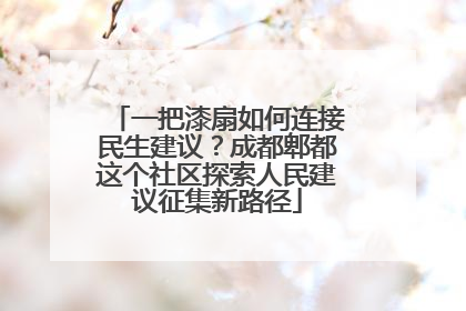 一把漆扇如何连接民生建议？成都郫都这个社区探索人民建议征集新路径