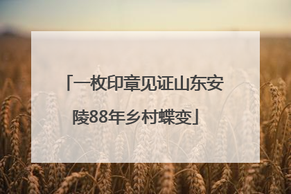 一枚印章见证山东安陵88年乡村蝶变