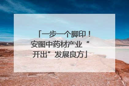 一步一个脚印！安图中药材产业“开出”发展良方