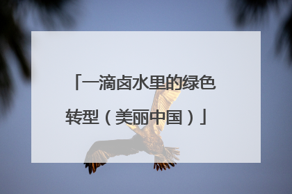 一滴卤水里的绿色转型（美丽中国）
