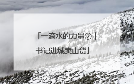 一滴水的力量②｜书记进城卖山货
