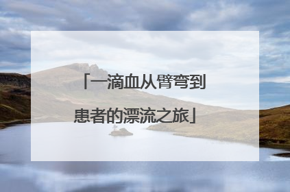 一滴血从臂弯到患者的漂流之旅