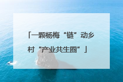 一颗杨梅“链”动乡村“产业共生圈”