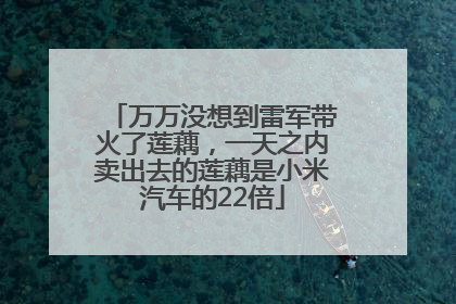 万万没想到雷军带火了莲藕，一天之内卖出去的莲藕是小米汽车的22倍
