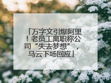万字文引爆阿里！老员工离职称公司“失去梦想”，马云下场回应