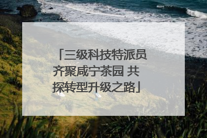 三级科技特派员齐聚咸宁茶园 共探转型升级之路