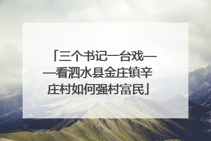 三个书记一台戏——看泗水县金庄镇辛庄村如何强村富民