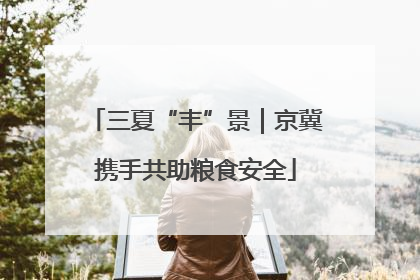 三夏“丰”景｜京冀携手共助粮食安全