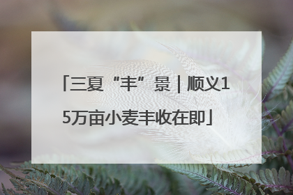三夏“丰”景｜顺义15万亩小麦丰收在即