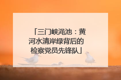 三门峡渑池：黄河水清岸绿背后的检察党员先锋队