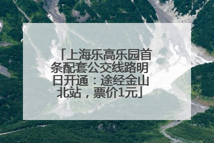 上海乐高乐园首条配套公交线路明日开通：途经金山北站，票价1元