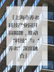 上海市养老科技产业园开园揭牌，推动“科技”与“养老”深度融合