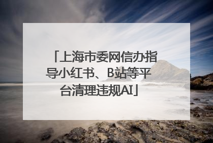 上海市委网信办指导小红书、B站等平台清理违规AI
