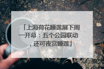 上海荷花睡莲展下周一开幕：五个公园联动，还可夜赏睡莲