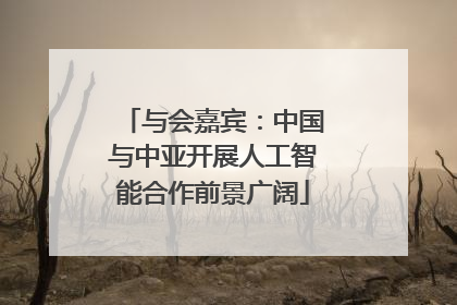 与会嘉宾：中国与中亚开展人工智能合作前景广阔