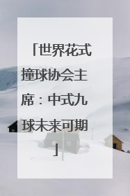 世界花式撞球协会主席：中式九球未来可期