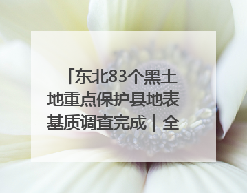 东北83个黑土地重点保护县地表基质调查完成｜全国“土地日”