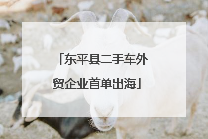东平县二手车外贸企业首单出海