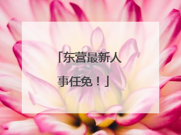 东营最新人事任免！