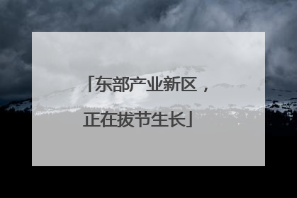 东部产业新区，正在拔节生长