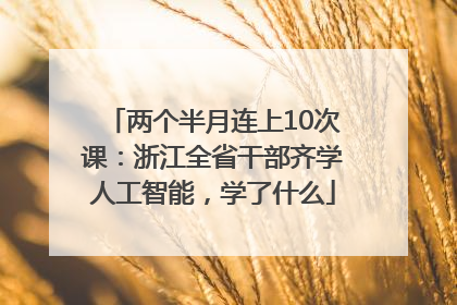 两个半月连上10次课：浙江全省干部齐学人工智能，学了什么