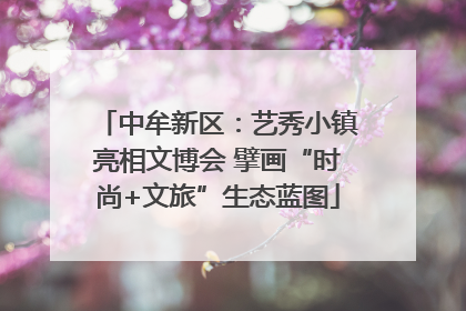 中牟新区：艺秀小镇亮相文博会 擘画“时尚+文旅”生态蓝图