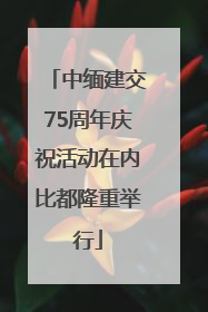 中缅建交75周年庆祝活动在内比都隆重举行