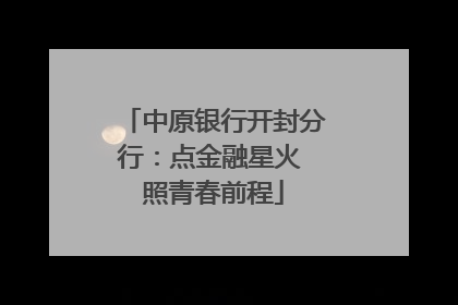 中原银行开封分行：点金融星火 照青春前程