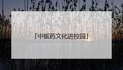中医药文化进校园