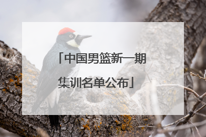中国男篮新一期集训名单公布