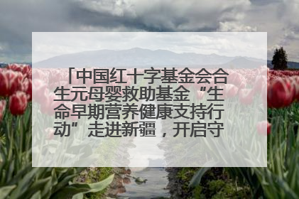 中国红十字基金会合生元母婴救助基金“生命早期营养健康支持行动”走进新疆，开启守护母婴新篇章！