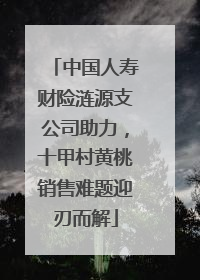 中国人寿财险涟源支公司助力，十甲村黄桃销售难题迎刃而解