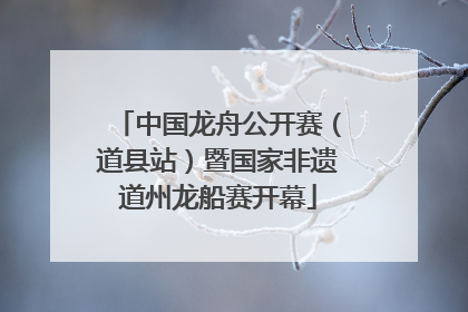 中国龙舟公开赛（道县站）暨国家非遗道州龙船赛开幕