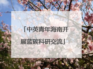 中英青年海南开展蓝碳科研交流