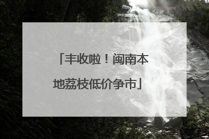 丰收啦！闽南本地荔枝低价争市