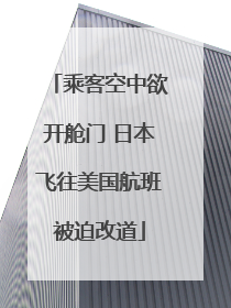 乘客空中欲开舱门 日本飞往美国航班被迫改道