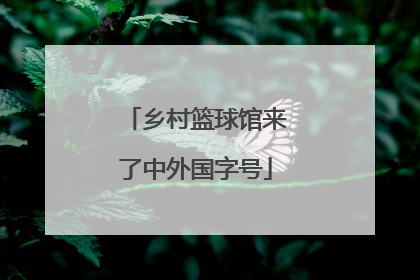 乡村篮球馆来了中外国字号