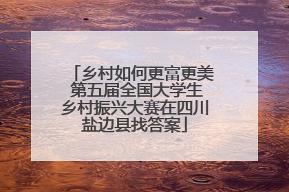 乡村如何更富更美 第五届全国大学生乡村振兴大赛在四川盐边县找答案