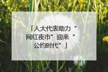 人大代表助力“网红夜市”迎来“公约时代”