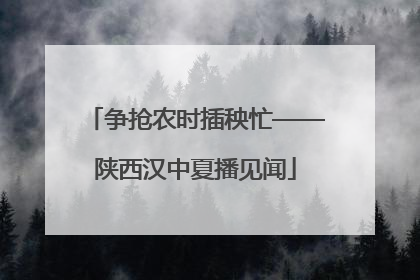 争抢农时插秧忙——陕西汉中夏播见闻