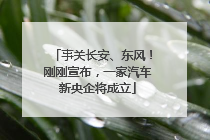 事关长安、东风！刚刚宣布，一家汽车新央企将成立