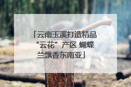 云南玉溪打造精品“云花”产区 蝴蝶兰飘香东南亚